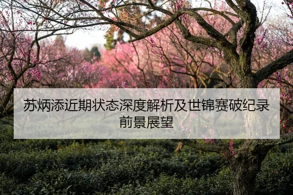 苏炳添近期状态深度解析及世锦赛破纪录前景展望